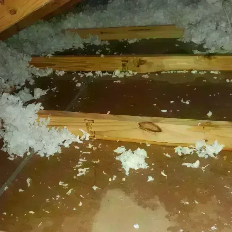 Attic Water Damage in Cisco, TX