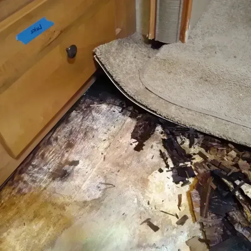 Wood Floor Water Damage in Cisco, TX